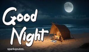 Night