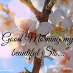 Morning