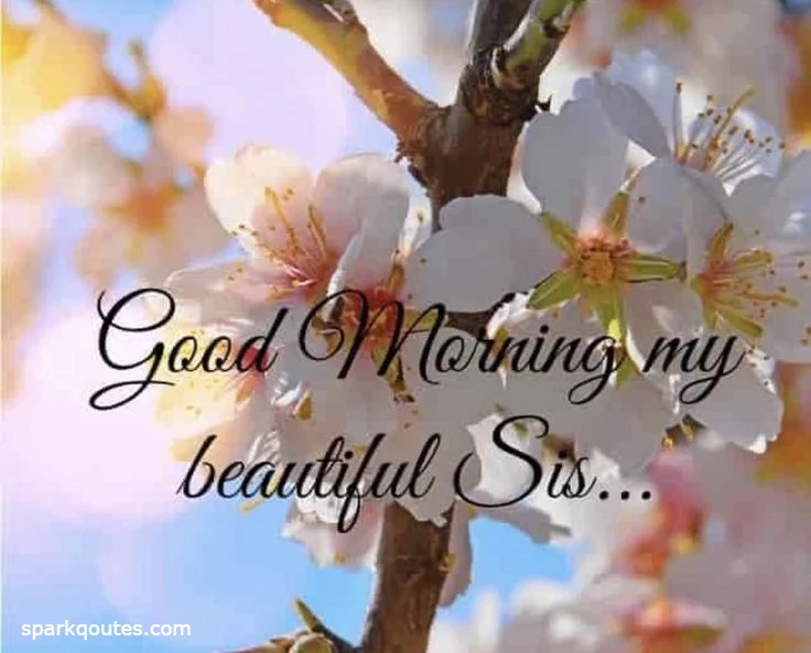 Morning