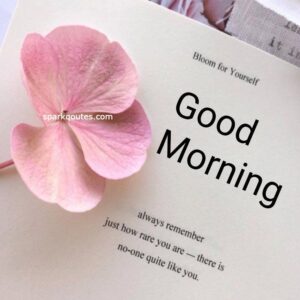  Good Morning 