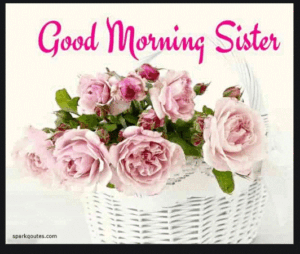 Morning 