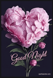 Night