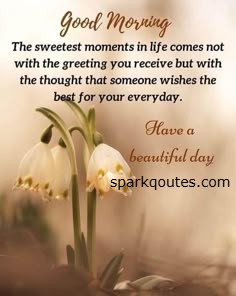 good morning