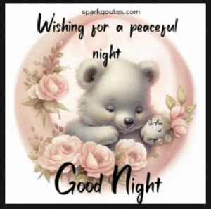 Night