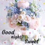 Night