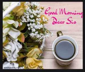 Morning 