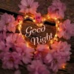 good night wishes