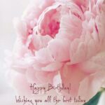 birthday wishes