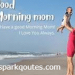 Morning