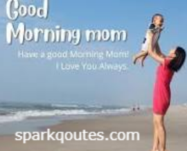 Morning