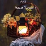 Good Night Wishes