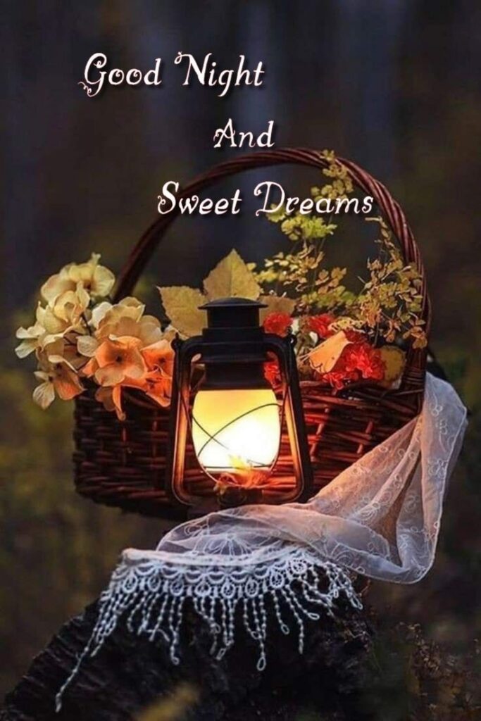 Good Night Wishes