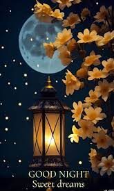 Good Night Wishes