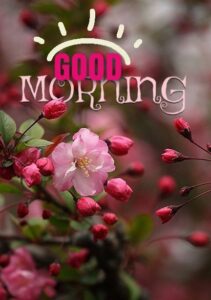 Good morning qoutes 