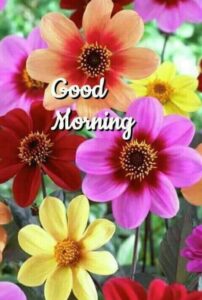 Good morning qoutes 