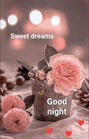 Good Night Wishes Good Night Wishes Good Night Wishes Good Night Wishes 