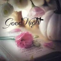 good night wishes
