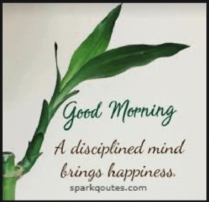 Good Morning