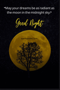 Good Night