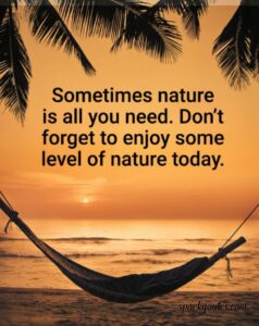 Motivation Quotes