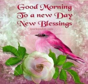 Good Morning
